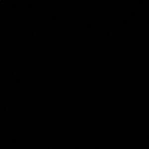 Meet your Posher, Isabella